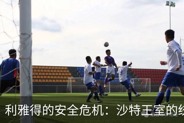 利雅得的安全危机：沙特王室的统治考验
